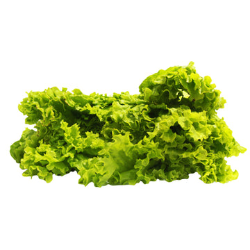 Lechuga Crespa X 250G (Peso Aprox.)